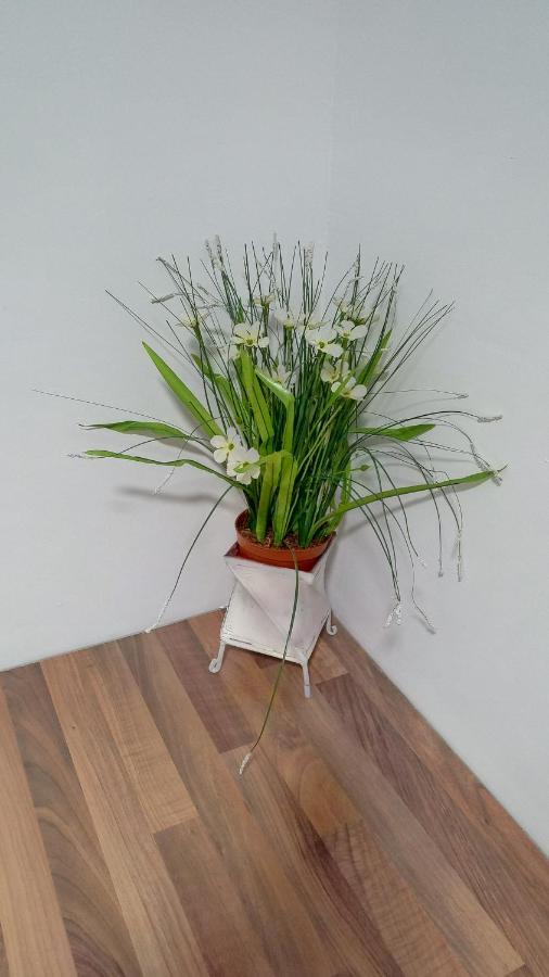 Bnap Gesta Apartment Oviedo Ngoại thất bức ảnh